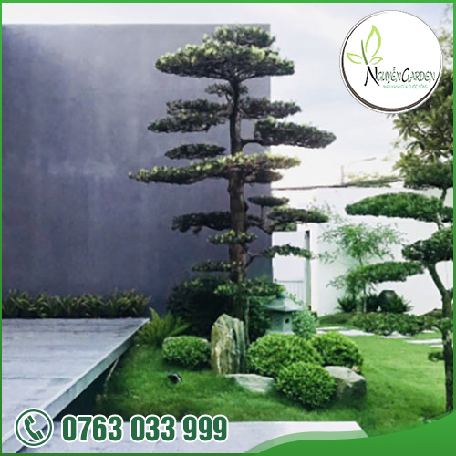 CÔNG TY TNHH TM DV NGUYỄN GARDEN